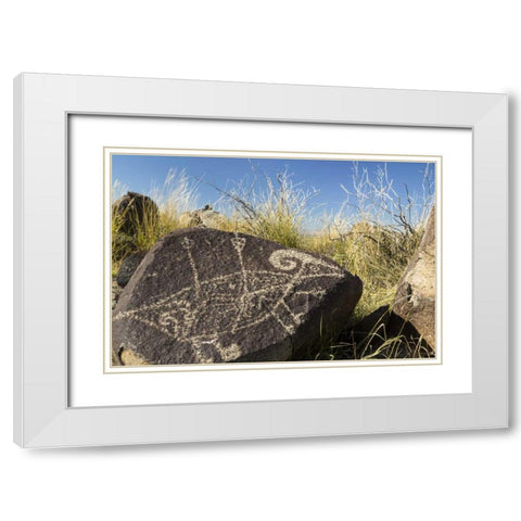 New Mexico, Three Rivers, Petroglyph on rock White Modern Wood Framed Art Print with Double Matting by Paulson, Don