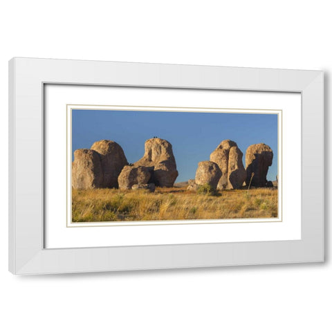 New Mexico, City of Rocks SP Ravens on a boulder White Modern Wood Framed Art Print with Double Matting by Paulson, Don