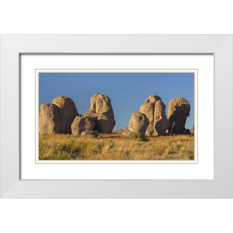 New Mexico, City of Rocks SP Ravens on a boulder White Modern Wood Framed Art Print with Double Matting by Paulson, Don
