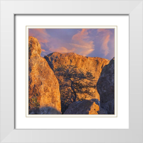 New Mexico, City of Rocks SP Sunset on boulders White Modern Wood Framed Art Print with Double Matting by Paulson, Don