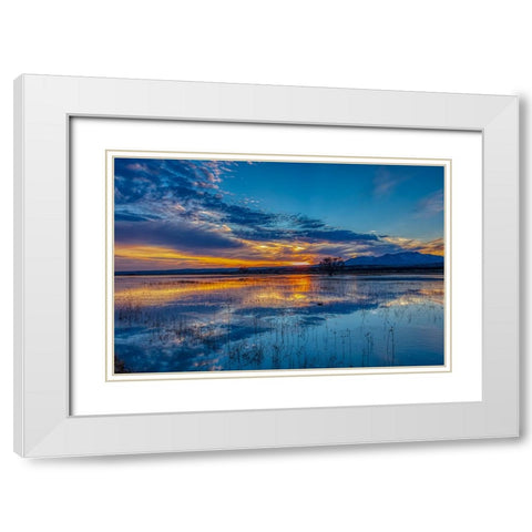 USA- New Mexico- Bosque del Apache National Wildlife Reserve. Sunset reflections on water White Modern Wood Framed Art Print with Double Matting by Jaynes Gallery