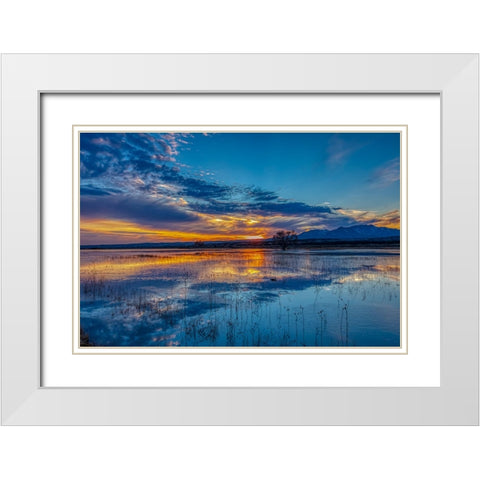 USA- New Mexico- Bosque del Apache National Wildlife Reserve. Sunset reflections on water White Modern Wood Framed Art Print with Double Matting by Jaynes Gallery