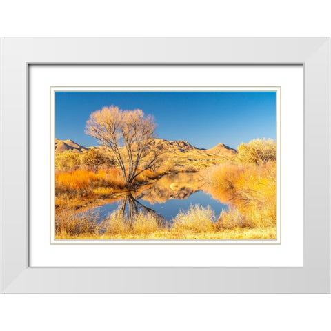 USA- New Mexico- Bosque Del Apache National Wildlife Refuge. Landscape with pond and mountains. White Modern Wood Framed Art Print with Double Matting by Jaynes Gallery