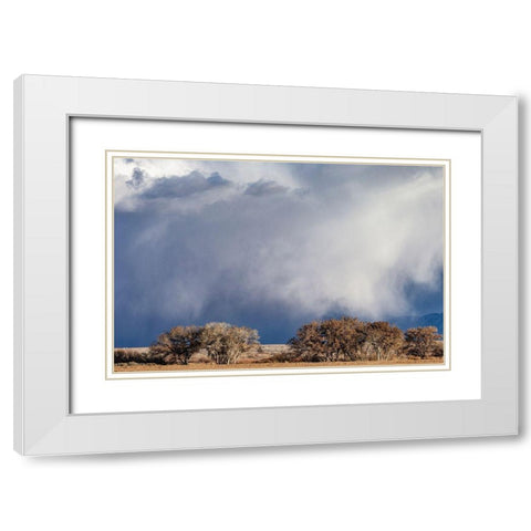 Winter storms in the Manzano mountains-New Mexico White Modern Wood Framed Art Print with Double Matting by Pryor, Maresa