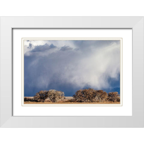 Winter storms in the Manzano mountains-New Mexico White Modern Wood Framed Art Print with Double Matting by Pryor, Maresa