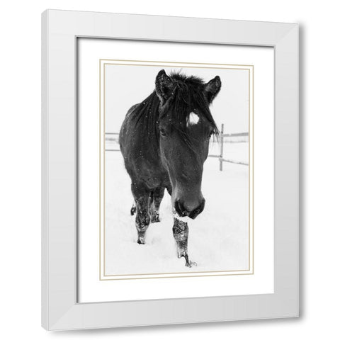 Dakotas first winter-Edgewood-New Mexico White Modern Wood Framed Art Print with Double Matting by Pryor, Maresa