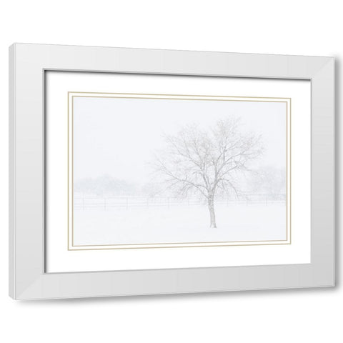 Snowscape in New Mexico White Modern Wood Framed Art Print with Double Matting by Pryor, Maresa