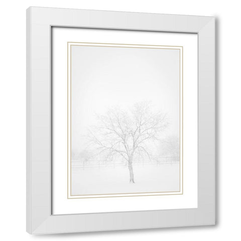 Snowscape in New Mexico White Modern Wood Framed Art Print with Double Matting by Pryor, Maresa