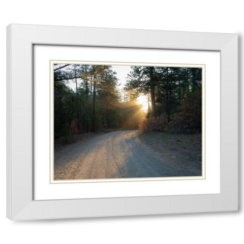 Forest Roads at sunrise-Manzano Mountain Wilderness-Cibola National Forest-New Mexico White Modern Wood Framed Art Print with Double Matting by Pryor, Maresa