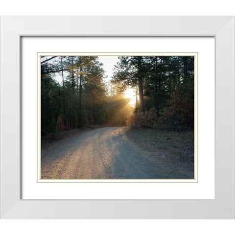 Forest Roads at sunrise-Manzano Mountain Wilderness-Cibola National Forest-New Mexico White Modern Wood Framed Art Print with Double Matting by Pryor, Maresa
