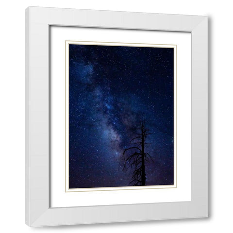 Milky way over the Carson National Forest-Tres Piedras-New Mexico White Modern Wood Framed Art Print with Double Matting by Pryor-Luzier, Maresa
