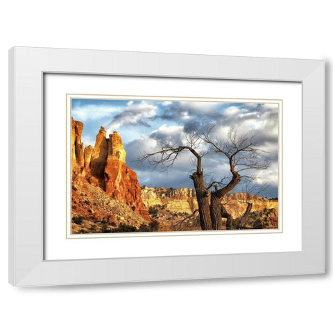 Dead tree and Fall Colors in New Mexico-USA White Modern Wood Framed Art Print with Double Matting by Norring, Tom