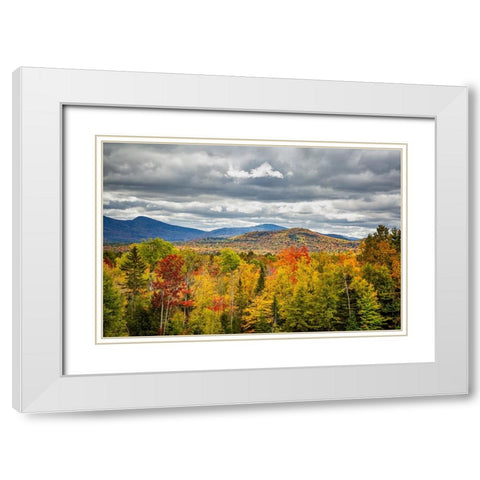 USA-New York-Adirondacks Indian Lake-Fall color at overlook along Route 28 White Modern Wood Framed Art Print with Double Matting by Collins, Ann