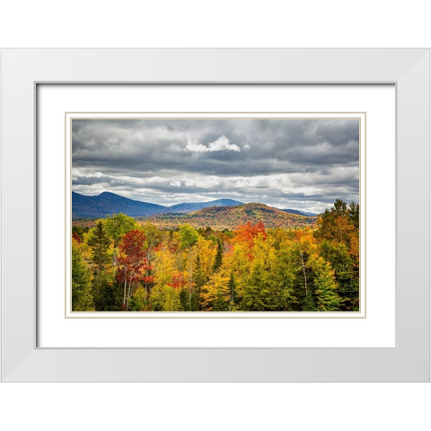 USA-New York-Adirondacks Indian Lake-Fall color at overlook along Route 28 White Modern Wood Framed Art Print with Double Matting by Collins, Ann