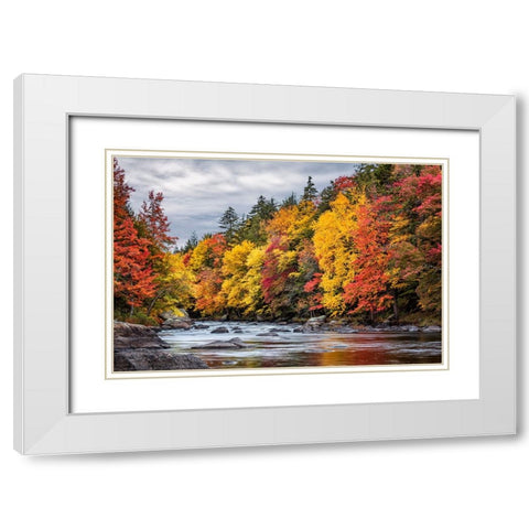 USA-New York-Adirondacks Long Lake-autumn color along the Raquette River White Modern Wood Framed Art Print with Double Matting by Collins, Ann