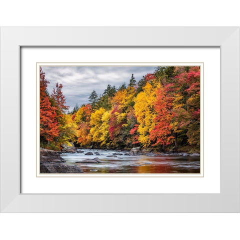 USA-New York-Adirondacks Long Lake-autumn color along the Raquette River White Modern Wood Framed Art Print with Double Matting by Collins, Ann