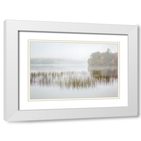 USA-New York-Adirondacks Long Lake-foggy morning-reeds-and loon on Eaton Lake White Modern Wood Framed Art Print with Double Matting by Collins, Ann