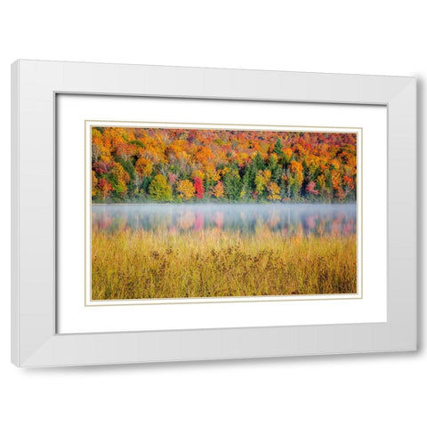 USA-New York-Adirondacks Lake Placid-morning sun at Connery Pond White Modern Wood Framed Art Print with Double Matting by Collins, Ann