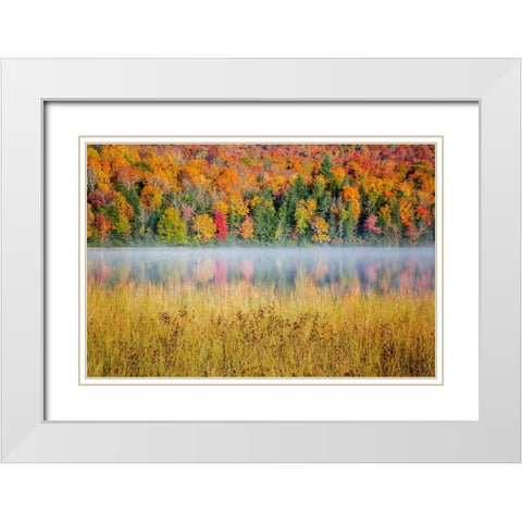 USA-New York-Adirondacks Lake Placid-morning sun at Connery Pond White Modern Wood Framed Art Print with Double Matting by Collins, Ann