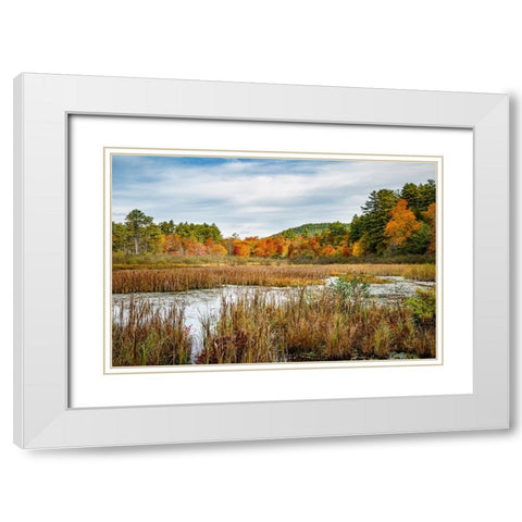 USA-New York-Adirondacks Bolton Landing-forest preserve marsh near Lake George White Modern Wood Framed Art Print with Double Matting by Collins, Ann