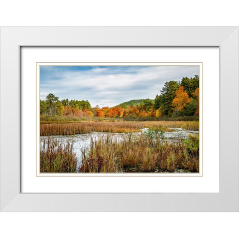 USA-New York-Adirondacks Bolton Landing-forest preserve marsh near Lake George White Modern Wood Framed Art Print with Double Matting by Collins, Ann