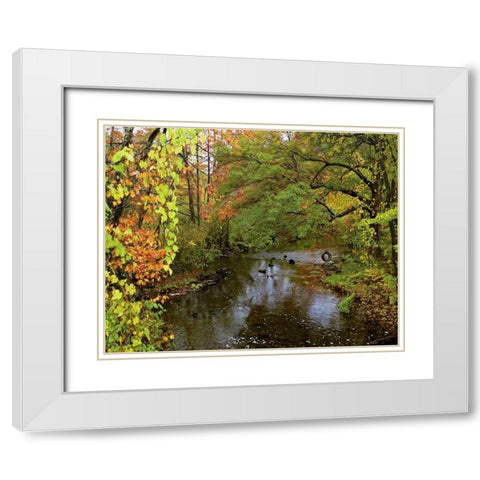 New York Tire swing hangs over Brant Creek White Modern Wood Framed Art Print with Double Matting by Terrill, Steve