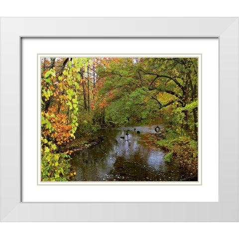 New York Tire swing hangs over Brant Creek White Modern Wood Framed Art Print with Double Matting by Terrill, Steve
