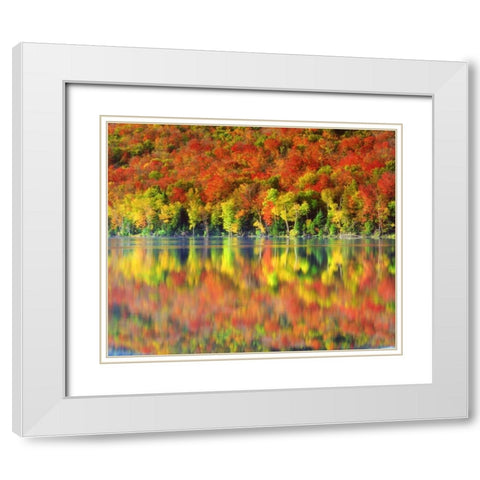 NY, Adirondack Mts Autumn reflects in Heart Lake White Modern Wood Framed Art Print with Double Matting by Talbot Frank, Christopher