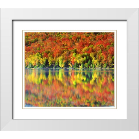 NY, Adirondack Mts Autumn reflects in Heart Lake White Modern Wood Framed Art Print with Double Matting by Talbot Frank, Christopher