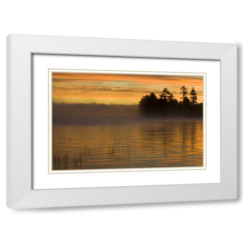New York, Adirondack Mts Racquette Lake, sunrise White Modern Wood Framed Art Print with Double Matting by Rotenberg, Nancy