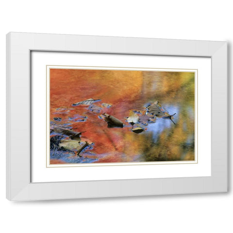 NY, Adirondack Mts Autumn reflections in stream White Modern Wood Framed Art Print with Double Matting by Rotenberg, Nancy