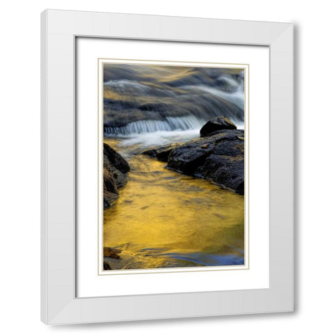 NY, Adirondack Mts Stream at Buttermilk Falls White Modern Wood Framed Art Print with Double Matting by OBrien, Jay