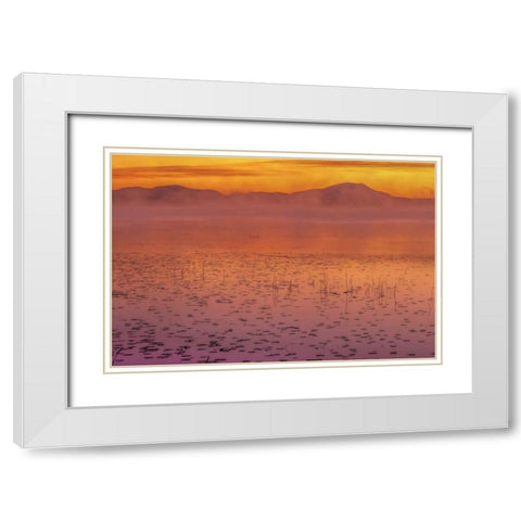 New York, Adirondack Mts Mist on Raquette Lake White Modern Wood Framed Art Print with Double Matting by OBrien, Jay