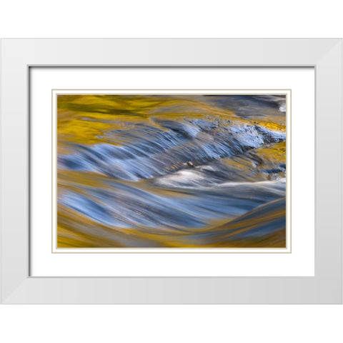 NY, Adirondacks Flowing water on Raquette Lake White Modern Wood Framed Art Print with Double Matting by OBrien, Jay