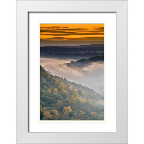 New York, Letchworth SP Foggy landscape, sunrise White Modern Wood Framed Art Print with Double Matting by OBrien, Jay