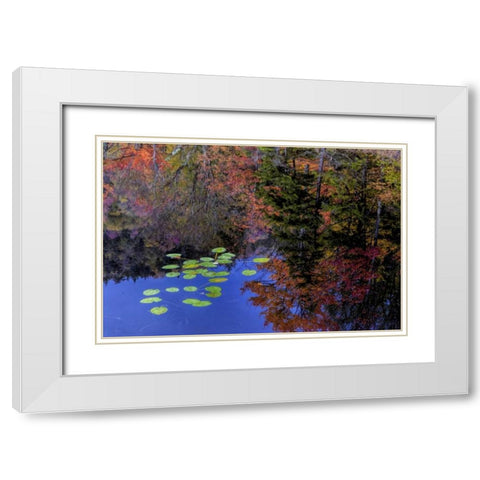 NY, Adirondack Mts Trees reflecting in water White Modern Wood Framed Art Print with Double Matting by OBrien, Jay