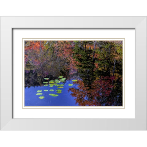 NY, Adirondack Mts Trees reflecting in water White Modern Wood Framed Art Print with Double Matting by OBrien, Jay