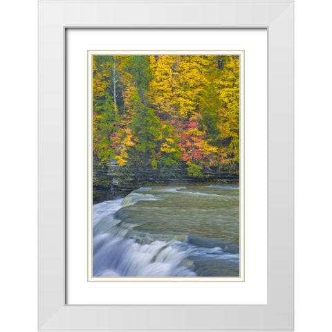 NY, Letchworth SP Waterfall and forest scenic White Modern Wood Framed Art Print with Double Matting by OBrien, Jay