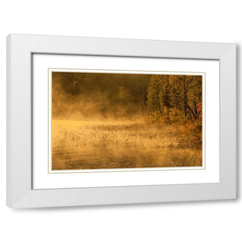 New York, Adirondack Mts Mist on Raquette Lake White Modern Wood Framed Art Print with Double Matting by OBrien, Jay