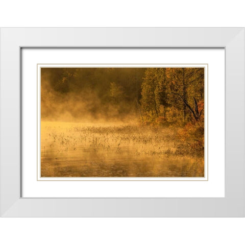 New York, Adirondack Mts Mist on Raquette Lake White Modern Wood Framed Art Print with Double Matting by OBrien, Jay