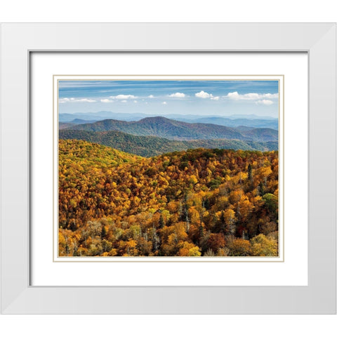 North Carolina-Pisgah National Forest-View from the Blue Ridge Parkways East Fork Overlook White Modern Wood Framed Art Print with Double Matting by Collins, Ann