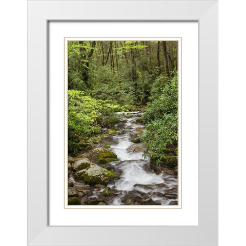 Cascading mountain stream-Great Smoky Mountains National Park-Tennessee-North Carolina White Modern Wood Framed Art Print with Double Matting by Jones, Adam