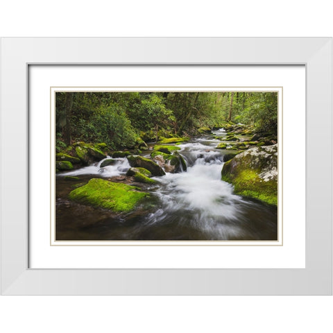 Cascading mountain stream-Great Smoky Mountains National Park-Tennessee-North Carolina White Modern Wood Framed Art Print with Double Matting by Jones, Adam
