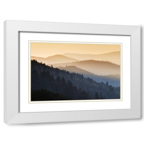 North Carolina Oconaluftee Overlook at sunrise White Modern Wood Framed Art Print with Double Matting by Flaherty, Dennis