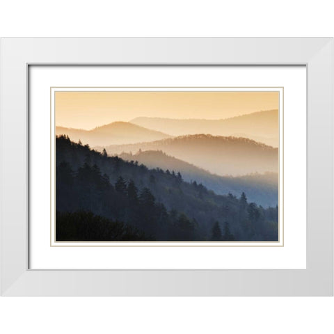 North Carolina Oconaluftee Overlook at sunrise White Modern Wood Framed Art Print with Double Matting by Flaherty, Dennis