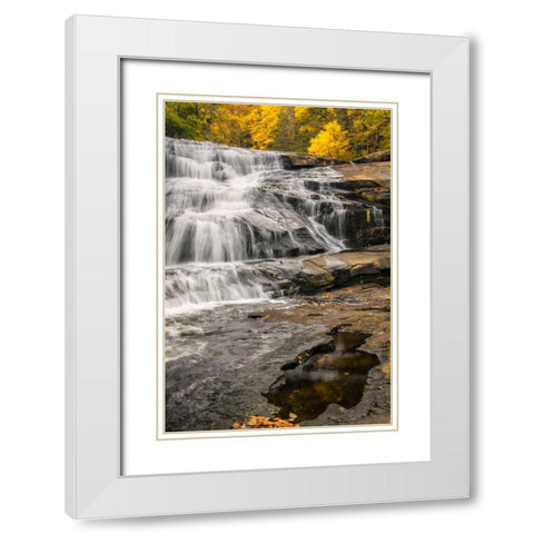 North Carolina, Brevard Waterfall in DuPont SF White Modern Wood Framed Art Print with Double Matting by OBrien, Jay