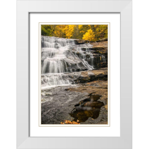 North Carolina, Brevard Waterfall in DuPont SF White Modern Wood Framed Art Print with Double Matting by OBrien, Jay