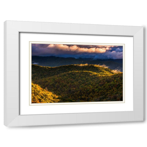 NC, Brevard Autumn landscape in Pisgah NF White Modern Wood Framed Art Print with Double Matting by OBrien, Jay