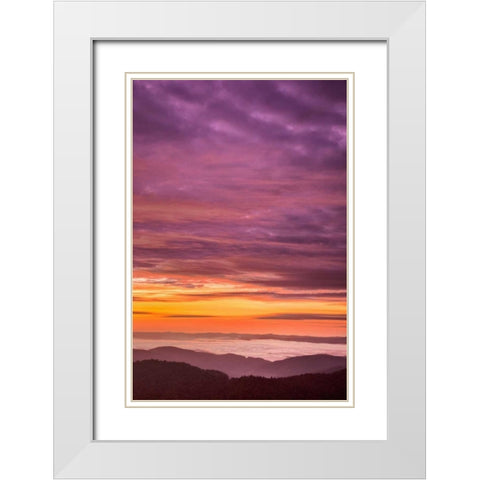 North Carolina, Brevard Landscape in Pisgah NF White Modern Wood Framed Art Print with Double Matting by OBrien, Jay