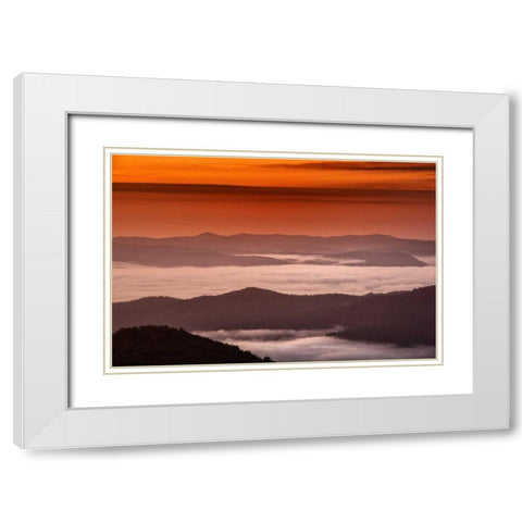North Carolina, Brevard Landscape in Pisgah NF White Modern Wood Framed Art Print with Double Matting by OBrien, Jay